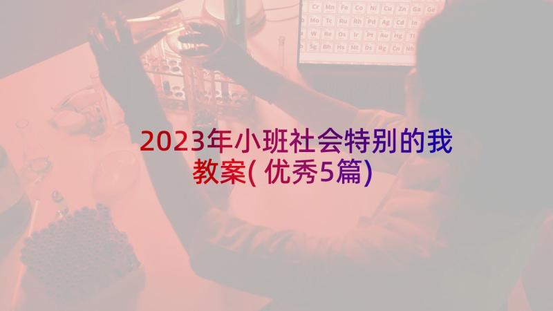 2023年小班社会特别的我教案(优秀5篇)