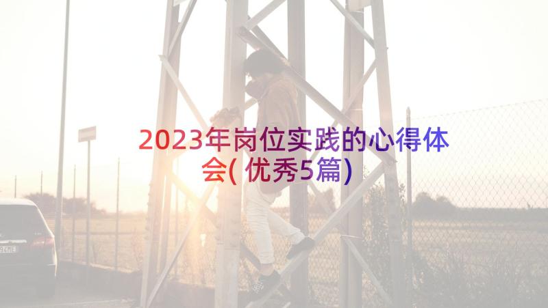 2023年岗位实践的心得体会(优秀5篇)