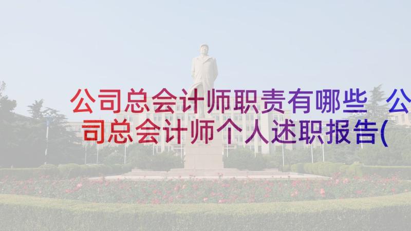 公司总会计师职责有哪些 公司总会计师个人述职报告(优秀5篇)