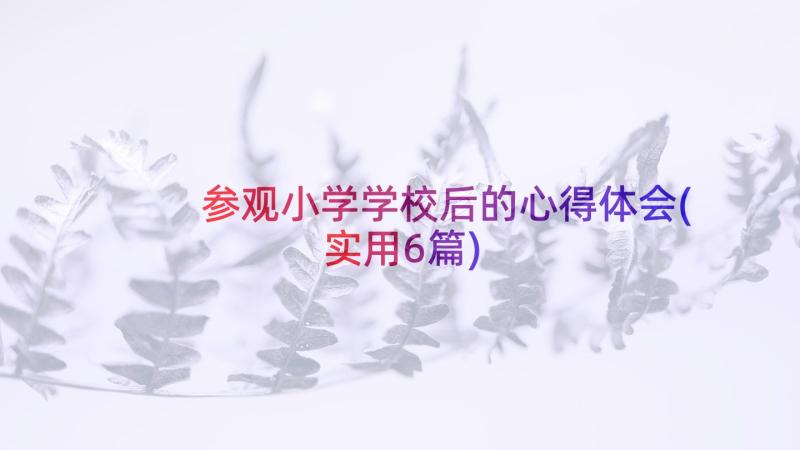 参观小学学校后的心得体会(实用6篇)