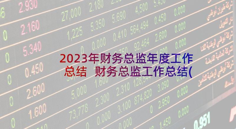 2023年财务总监年度工作总结 财务总监工作总结(模板10篇)