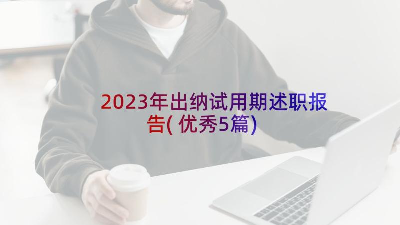 2023年出纳试用期述职报告(优秀5篇)