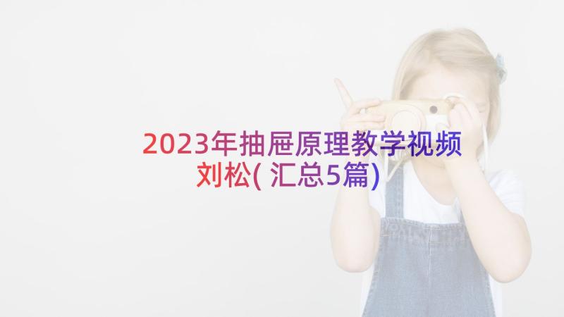 2023年抽屉原理教学视频刘松(汇总5篇)