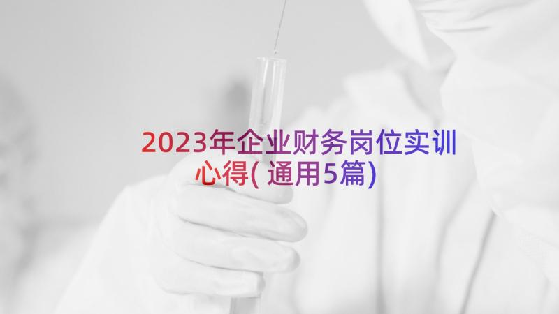 2023年企业财务岗位实训心得(通用5篇)