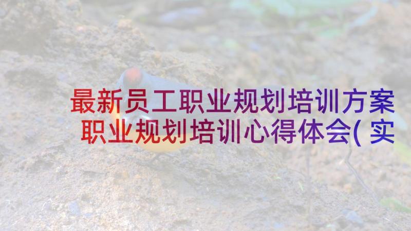 最新员工职业规划培训方案 职业规划培训心得体会(实用8篇)