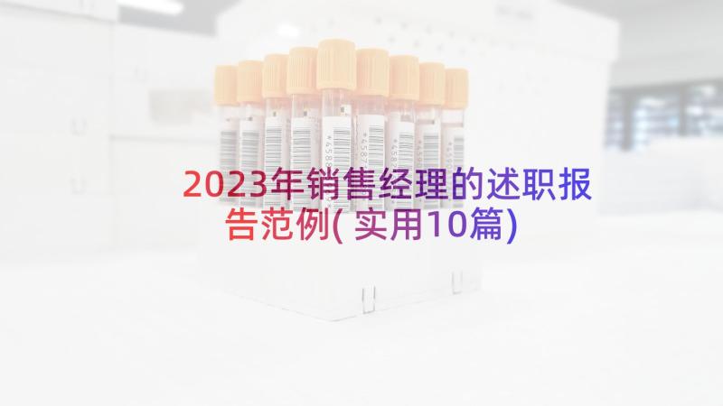 2023年销售经理的述职报告范例(实用10篇)