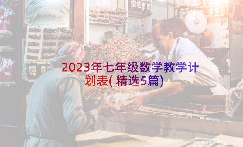 2023年七年级数学教学计划表(精选5篇)