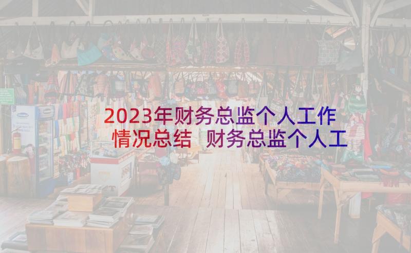 2023年财务总监个人工作情况总结 财务总监个人工作总结(模板9篇)