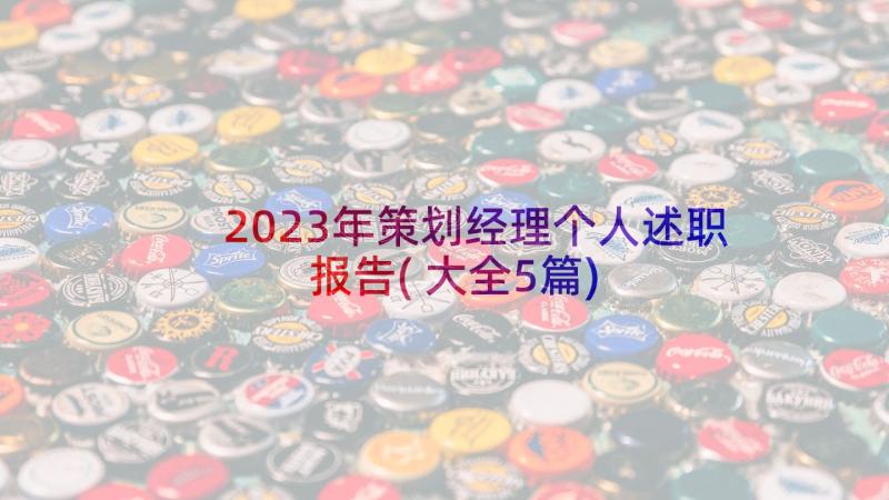 2023年策划经理个人述职报告(大全5篇)