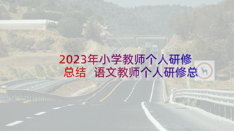 2023年小学教师个人研修总结 语文教师个人研修总结报告(优质5篇)