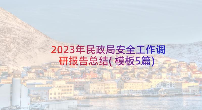 2023年民政局安全工作调研报告总结(模板5篇)