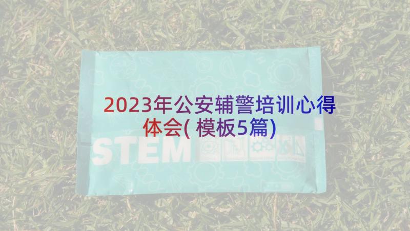 2023年公安辅警培训心得体会(模板5篇)