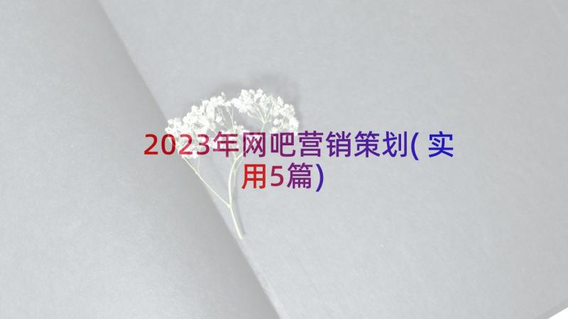 2023年网吧营销策划(实用5篇)