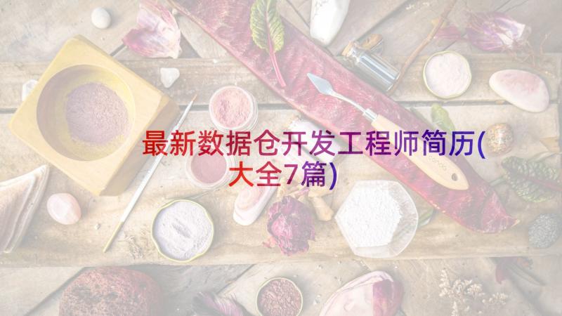 最新数据仓开发工程师简历(大全7篇)