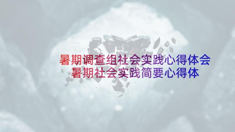 暑期调查组社会实践心得体会 暑期社会实践简要心得体会(精选5篇)