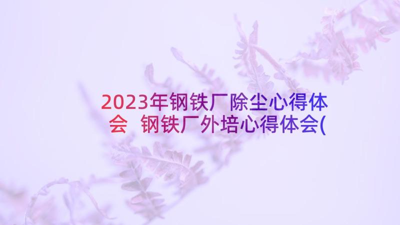 2023年钢铁厂除尘心得体会 钢铁厂外培心得体会(汇总5篇)