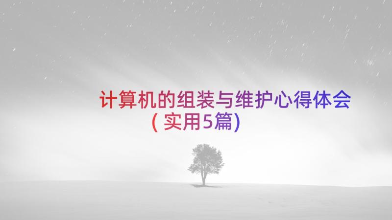 计算机的组装与维护心得体会(实用5篇)