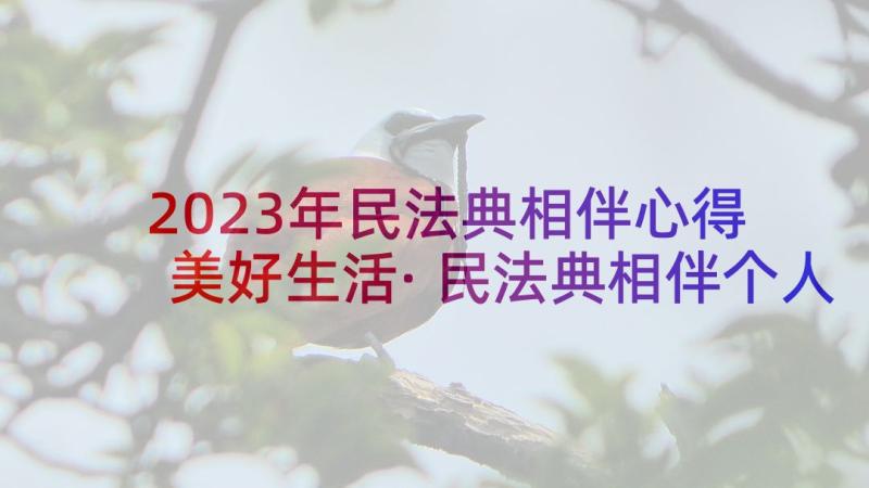 2023年民法典相伴心得 美好生活·民法典相伴个人心得体会(大全5篇)