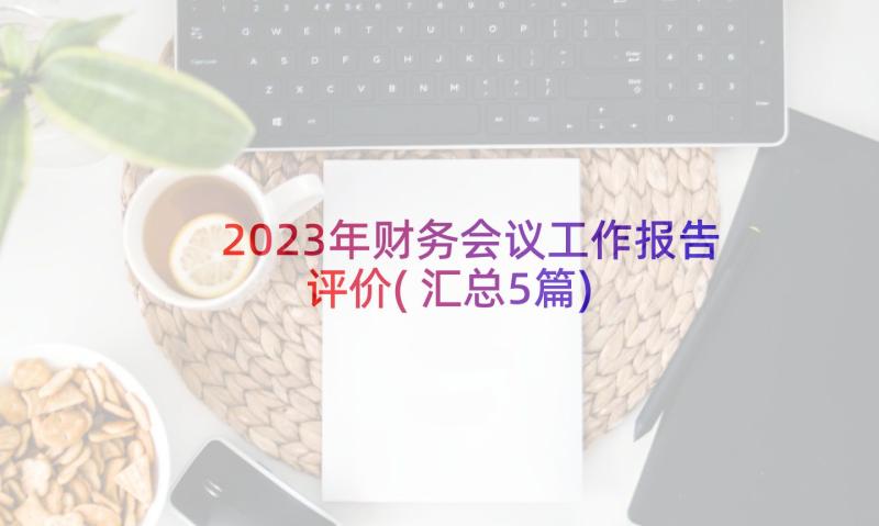 2023年财务会议工作报告评价(汇总5篇)