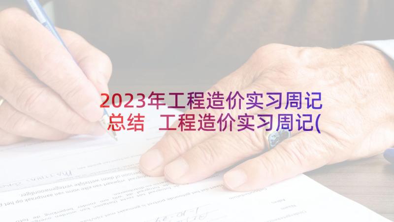 2023年工程造价实习周记总结 工程造价实习周记(精选9篇)