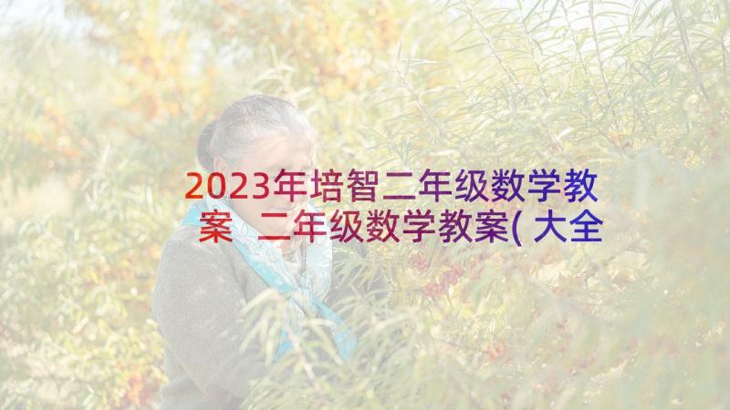 2023年培智二年级数学教案 二年级数学教案(大全9篇)