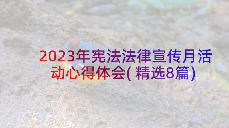 2023年宪法法律宣传月活动心得体会(精选8篇)