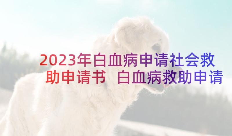 2023年白血病申请社会救助申请书 白血病救助申请书(通用10篇)