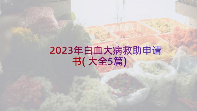 2023年白血大病救助申请书(大全5篇)