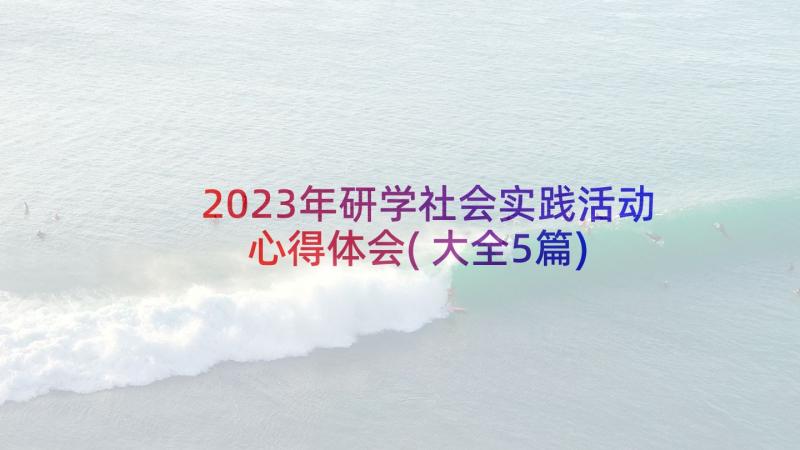 2023年研学社会实践活动心得体会(大全5篇)