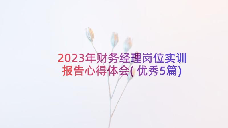 2023年财务经理岗位实训报告心得体会(优秀5篇)