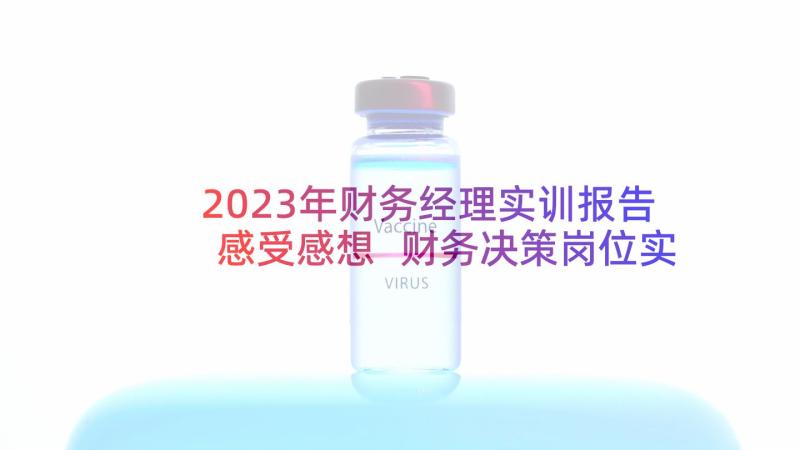 2023年财务经理实训报告感受感想 财务决策岗位实训心得体会(精选5篇)