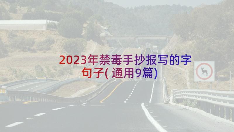 2023年禁毒手抄报写的字句子(通用9篇)