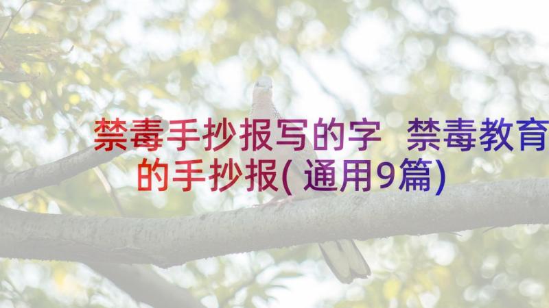 禁毒手抄报写的字 禁毒教育的手抄报(通用9篇)