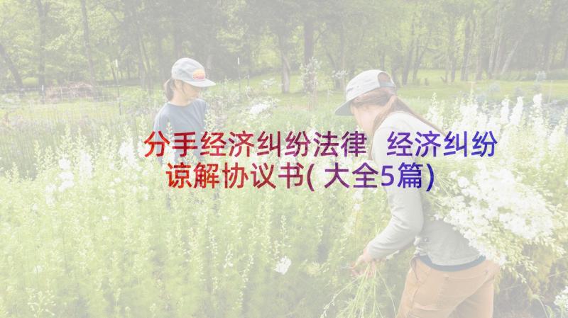 分手经济纠纷法律 经济纠纷谅解协议书(大全5篇)