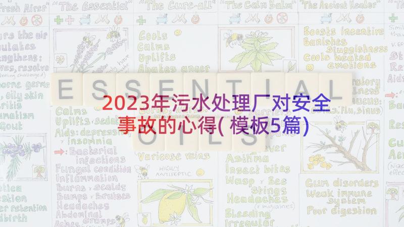 2023年污水处理厂对安全事故的心得(模板5篇)