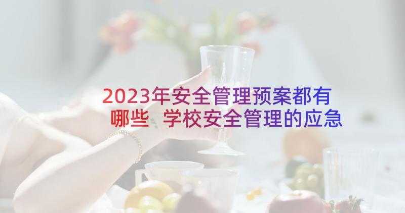 2023年安全管理预案都有哪些 学校安全管理的应急预案(汇总8篇)