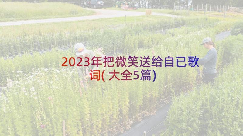 2023年把微笑送给自已歌词(大全5篇)