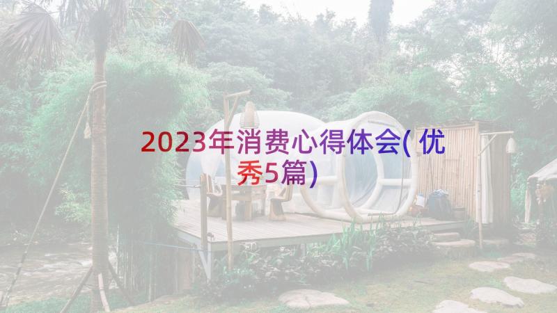 2023年消费心得体会(优秀5篇)