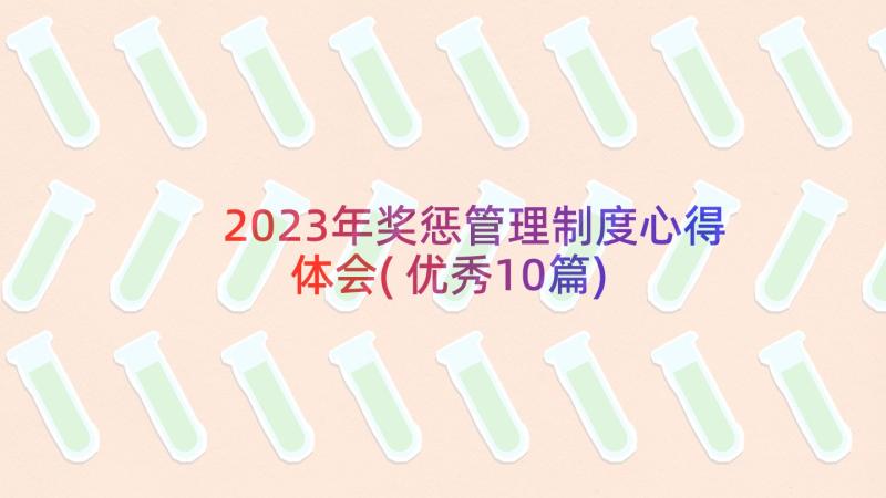 2023年奖惩管理制度心得体会(优秀10篇)