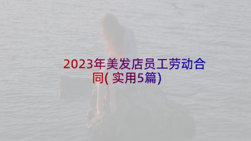 2023年美发店员工劳动合同(实用5篇)