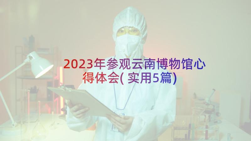 2023年参观云南博物馆心得体会(实用5篇)