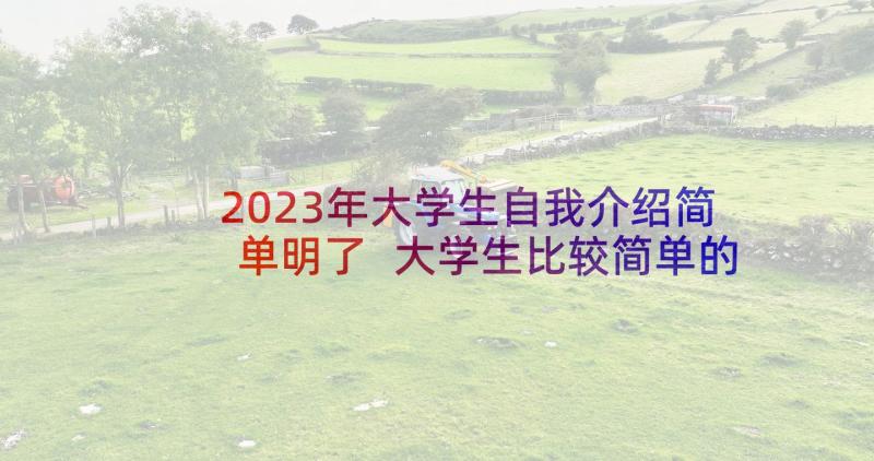 2023年大学生自我介绍简单明了 大学生比较简单的自我介绍(实用5篇)