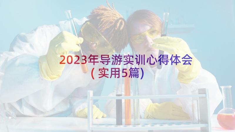 2023年导游实训心得体会(实用5篇)