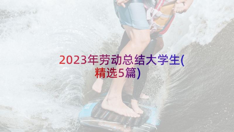 2023年劳动总结大学生(精选5篇)
