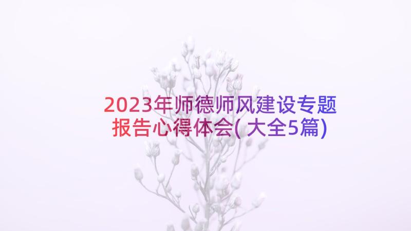 2023年师德师风建设专题报告心得体会(大全5篇)
