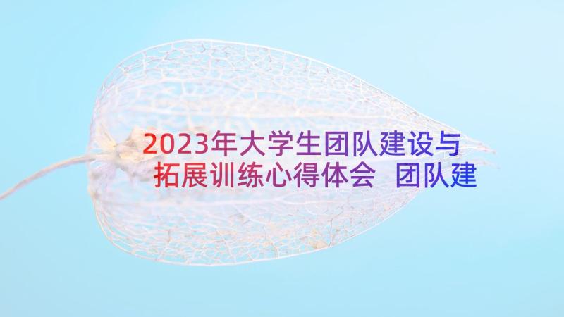 2023年大学生团队建设与拓展训练心得体会 团队建设拓展训练心得体会(通用5篇)