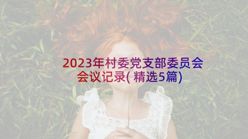 2023年村委党支部委员会会议记录(精选5篇)