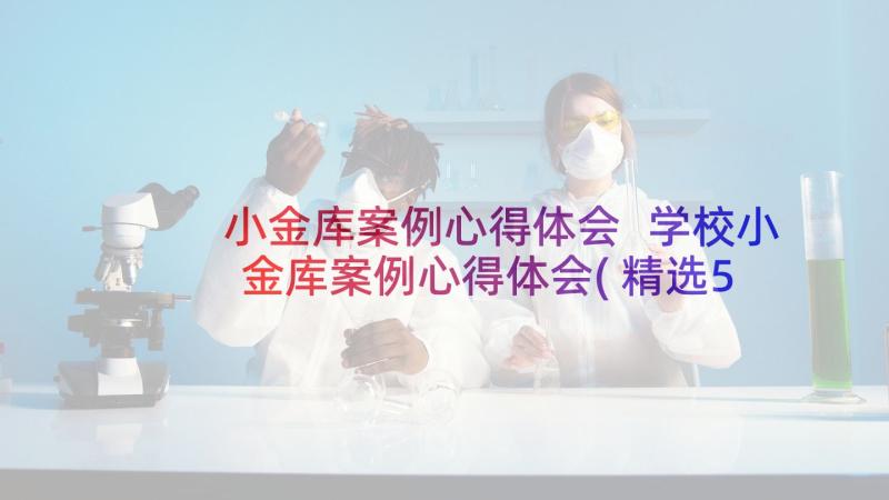 小金库案例心得体会 学校小金库案例心得体会(精选5篇)