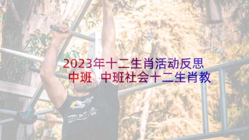 2023年十二生肖活动反思中班 中班社会十二生肖教案(大全5篇)