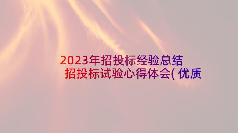 2023年招投标经验总结 招投标试验心得体会(优质10篇)